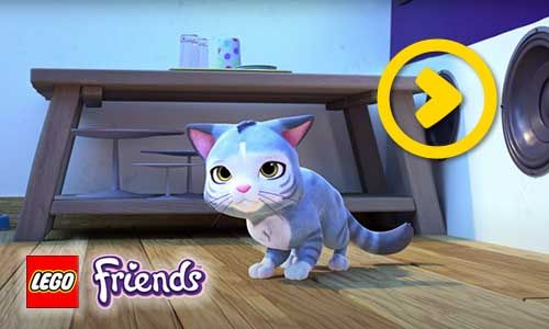 LEGO Friends 21